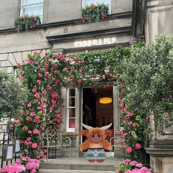 Tigerlily Hotel Edinburgh Luxury Overnight Stay For Two With Dinner Included