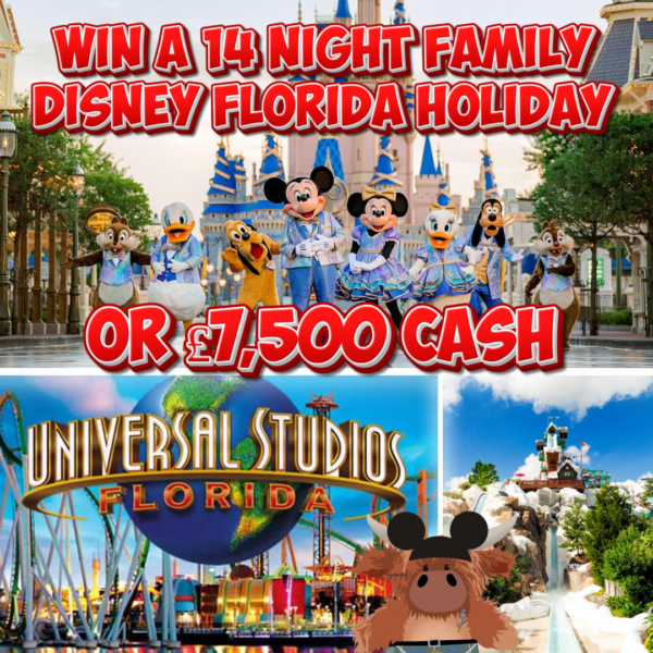 Making Dreams Come True in 2025 - 14 Night Family Holiday to Orlando, Florida Including 14 Days Park Tickets & £2,000 Spending Money
