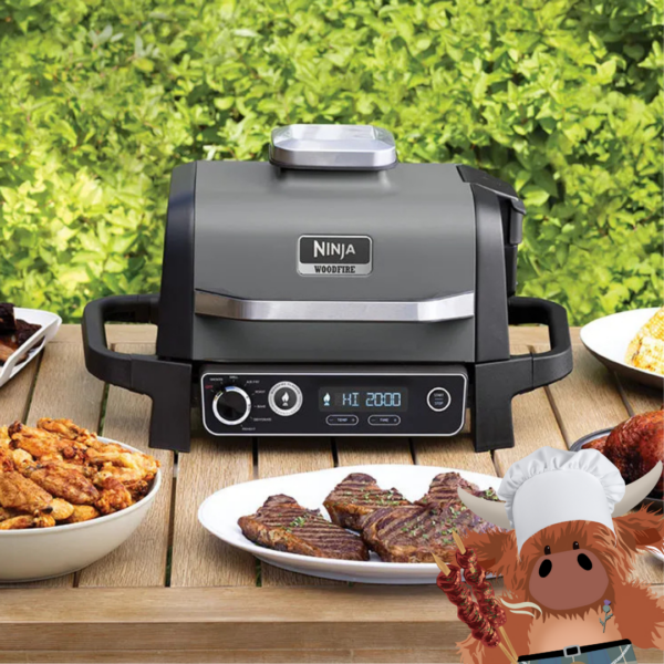 Ninja Woodfire Electric BBQ Grill & Smoker
