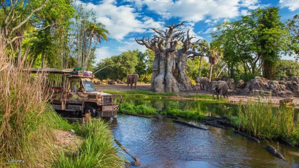 Making Dreams Come True in 2026 - 14 Night ULIMATE Family Holiday to Orlando, Florida Including 14 Days Park Tickets & £2,000 Spending Money - Image 3
